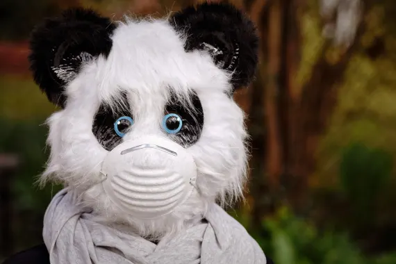 Casino Cabaret Club Tugi